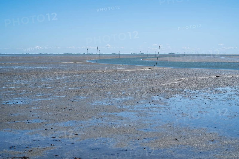 Wadden Sea at low tide, Schleswig-Holstein Wadden Sea National Park, Pellworm Island, North Frisia, North Sea, Schleswig-Holstein, Germany