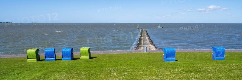 Beach chairs on a blooming meadow on the North Sea coast, GrÃ¼nstrand, Pellworm Island, North Sea, North Frisia, Schleswig-Holstein, Germany