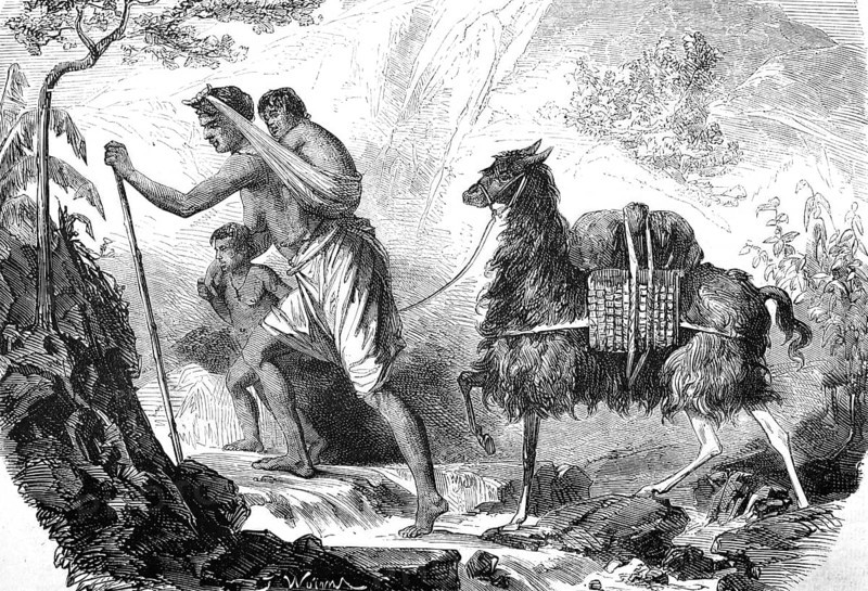 Farmer with children and a llama as a beast of burden, travelling in the mountains, Andes, South America, Historical, Reproduction of a 19th century model with a scene from the 19th century