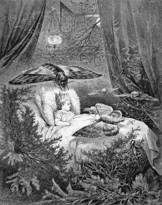 Symbolic image Midsummer Night's Dream, sleeping child swarmed by moths and moths, historical, reproduction of a model with a scene from the 19th century