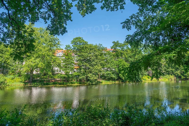 View across the water to Contresarpe Street, Bremen ramparts, formerly part of the city fortifications with ramparts and moat, today a park, water reflection, nature experience, history, Bremen, Germany