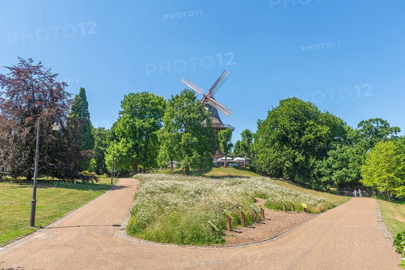 Mill on the rampart or HerdentorsmÃ¼hle, type gallery follower with wind direction tracking, restaurant and café, terrace with sunshades, single monument, fork in the road, group of trees, flowers, lawn, Bremen ramparts, formerly part of the city fortifications with rampart and moat, today park, history, Bremen, Germany