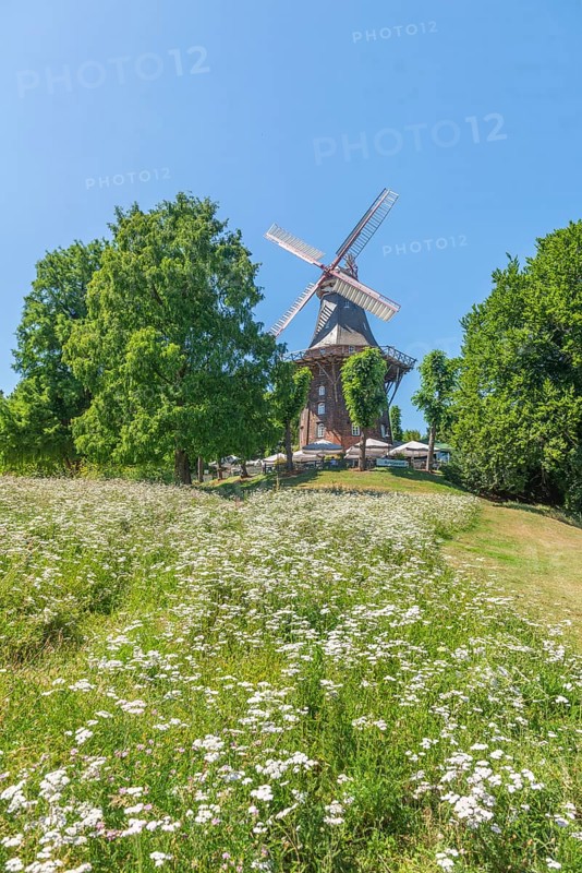 MÃ¼hle am Wall or HerdentorsmÃ¼hle, type gallery mill with wind direction tracking, restaurant and café, terrace with sunshades, single monument, group of trees, blooming flowers, Bremen ramparts, formerly part of the city fortifications with rampart and moat, today park, history, Bremen, Germany