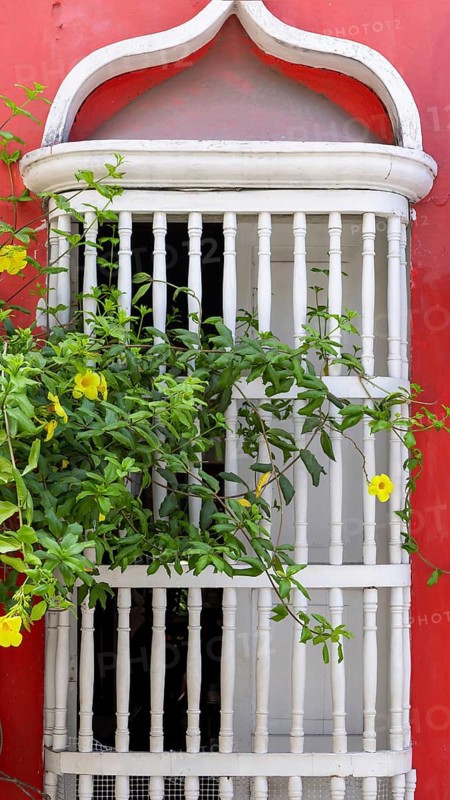 Olorful streets of Cartagena in historic Getsemani district near Walled City, Ciudad Amurallada