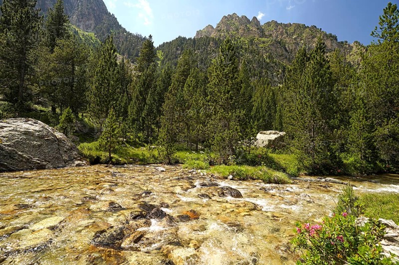 The Riu de Monestero river in the AigÃ¼estortes i Estany de Sant Maurici National Park, Catalonia, Spain