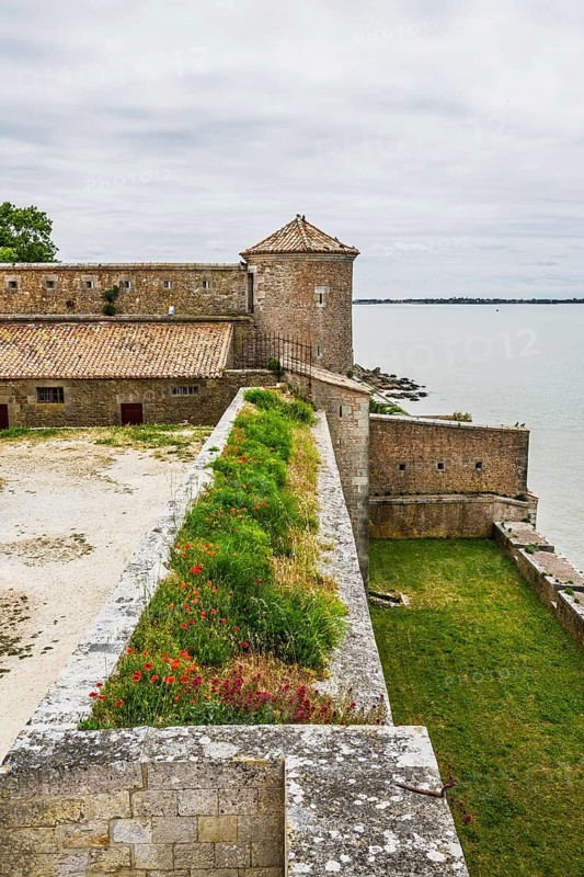 Castle Fouras, Fouras-les-Bains, Charente-Maritime, Nouvelle-Aquitaine, France