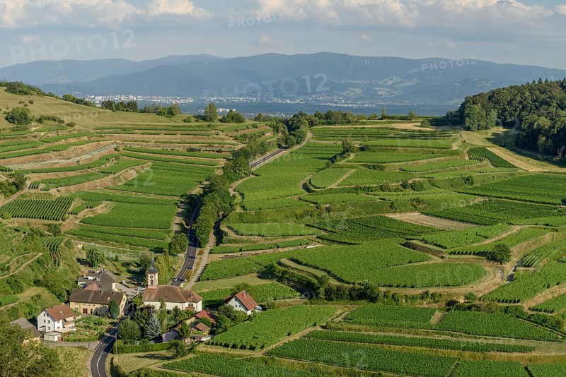 Het uitzicht toont een schilderachtig dorp omringd door uitgestrekte wijngaarden op de heuvels, met een kronkelige Weg die door het landschap slingert tijdens de namiddag. Vogtsburg im Kaiserstuhl, Germany