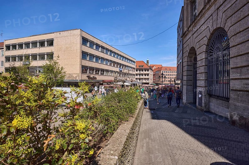 Pedestrian zone, flower bed, common mahonia (Mahonia aquifolium), general architecture, wall, retail, pedestrians as secondary motif, blue sky, cloudless, KönigstraÃŸe, Nuremberg, Middle Franconia, independent city, Bavaria, Germany