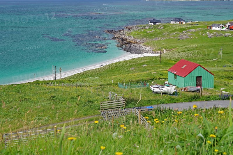 Green pastures with a red shed on a rocky coast by the sea, Outer Hebrides, Eriksay, Scotland, United Kingdom