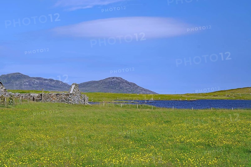 Wide green flower meadow with ruins against a mountainous backdrop under a blue sky, Outer Hebrides, South Uist, Scotland, Great Britain