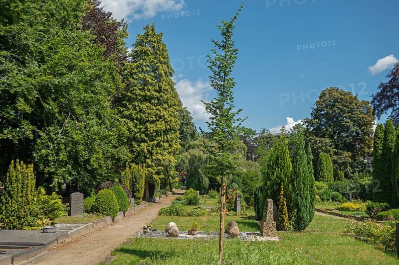 Under-tree burial, resting place, accessible place, Lutheran cemetery, Heisfelder StraÃŸe, Leer, East Frisia, Germany