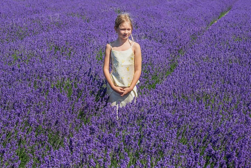 Blonde girl, 9 years old, standing in blooming lavender field in Köpingebro, Ystad Municipality, SkÃ¥ne County, Sweden, Scandinavia