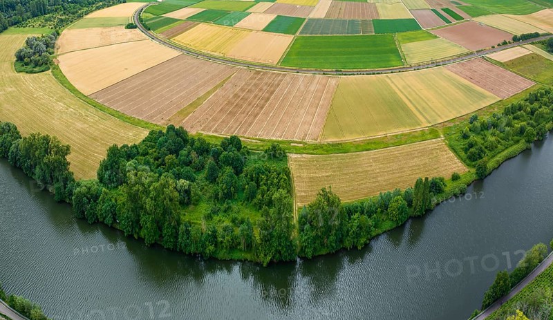 Agricultural area in the Neckarbogen near Lauffen am Neckar. Cereal fields in different shades of green. Neckar bend near Lauffen am Neckar, Baden-WÃ¼rttemberg, Germany