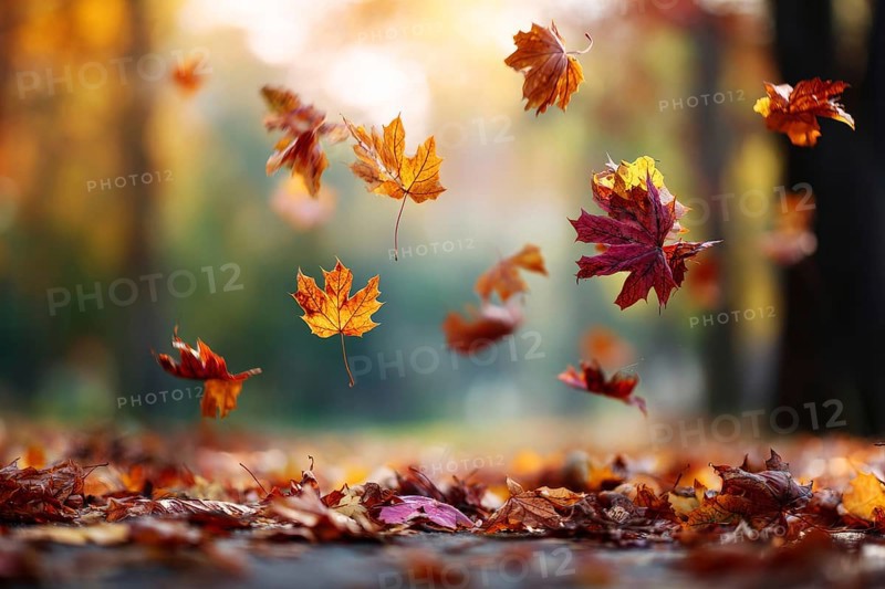 Colorful autumn leaves hanging in the air and falling to the ground. Red and orange autumn foliage, AI generated