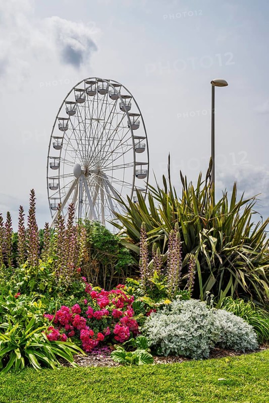 Royan, Nouvelle-Aquitaine, Charente-Maritime, France