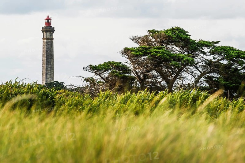 WHALE LIGHTHOUSE, Saint-Clement-des-Baleines, Atlantic, France