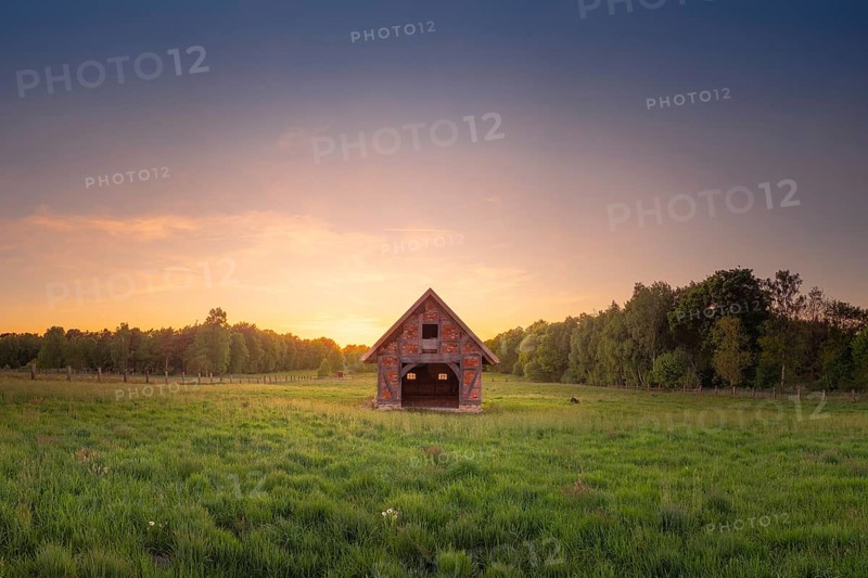 View of an open half-timbered barn standing on a pasture in the sunset, meadow, spring, awakening, new, colours, season, landscape photo, nature photo, flora, fauna, landscape format, pasture, grasses, lowland, sky, clouds, Stöckse, Steimbke, Nienburg Weser, Lower Saxony, Germany