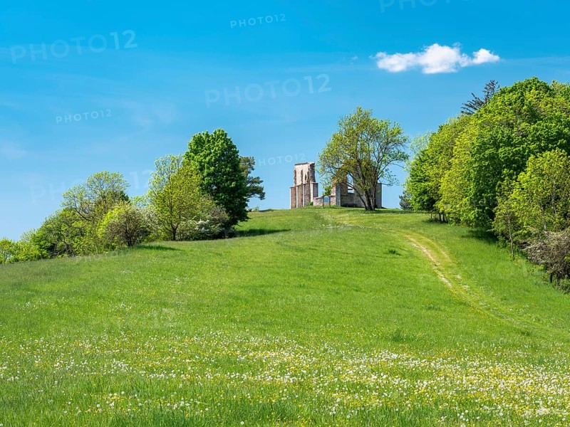 The ruins of St Catherine's Chapel, also known as Kappl, a pilgrimage church in a flowering meadow on the Kappelbuck mountain, Hechingen am See, Markt Heidenheim, Middle Franconia, Bavaria, Germany