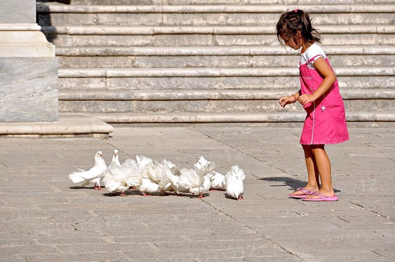 Girl, child playing with white peacock pigeons, pigeon (Columbidae) in the cloister of the Bramante, Benedictine Abbey of Montecassino, Monte Cassino, Cassino, Frosinone, Lazio, Italy