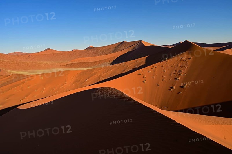 The mighty star-shaped dunes of the Namib Desert near Sossusvlei glow in the evening sun, Namibia