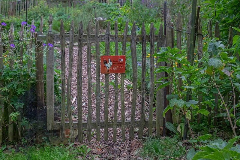 Old wooden gate with warning sign in a green, natural garden, North Rhine-Westphalia, Germany