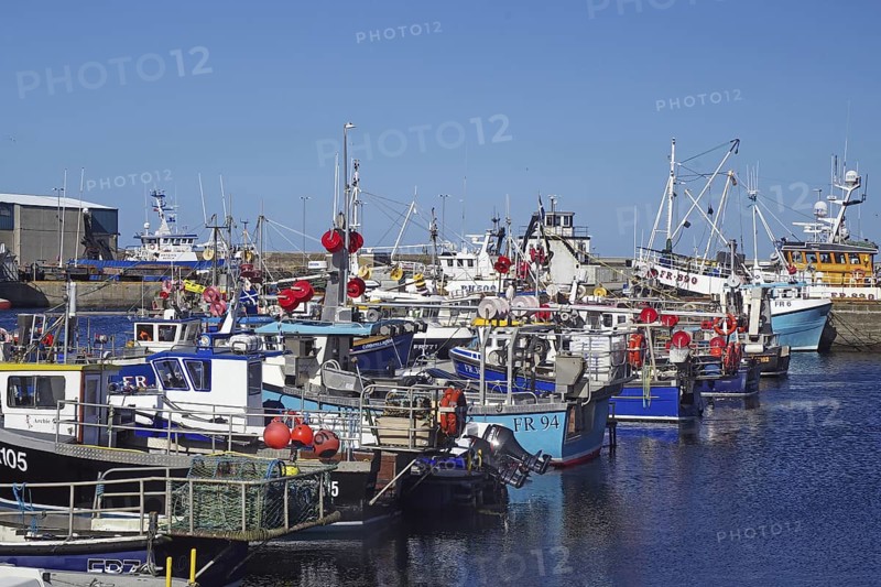 Various fishing boats moored in the harbour, complemented by colourful buoys, Fraserburgh Aberdeenshire, Scotland, Great Britain