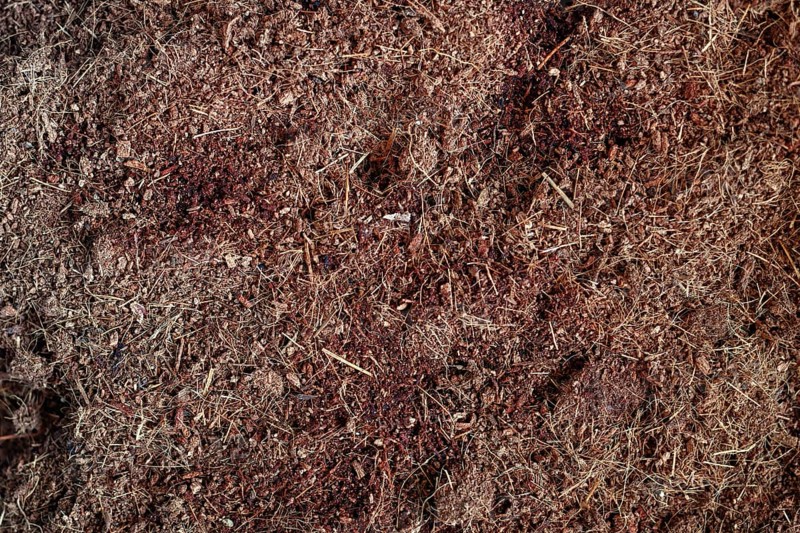 Close-up of coconut coir soil texture for sustainable gardening