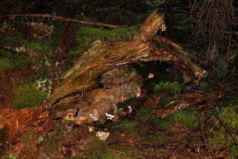 Mysterious cot, Christmas cot in natural surroundings, hidden in the forest, artists have built the cot in the middle of the forest in the Schiberg in Balve at Christmas time, Balver Wald, Sauerland, N, North Rhine-Westphalia, Germany, Western Europe
