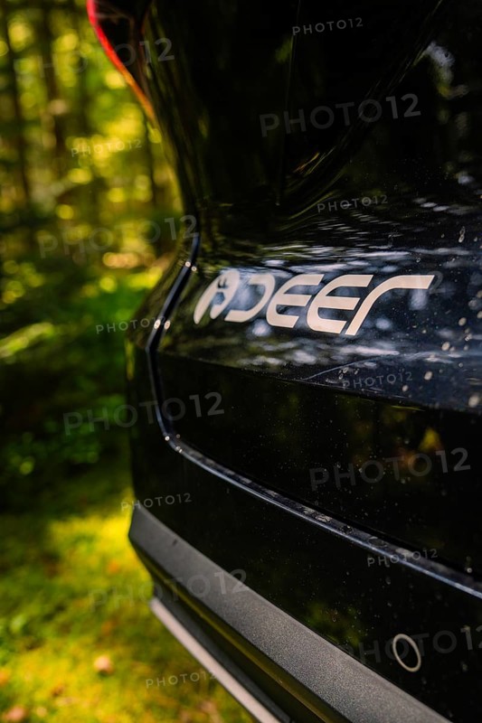 Close-up of the brand logo on the rear of a black car, surrounded by natural forest, MG 4, Deer E- Car Sharing, Calw district, Germany