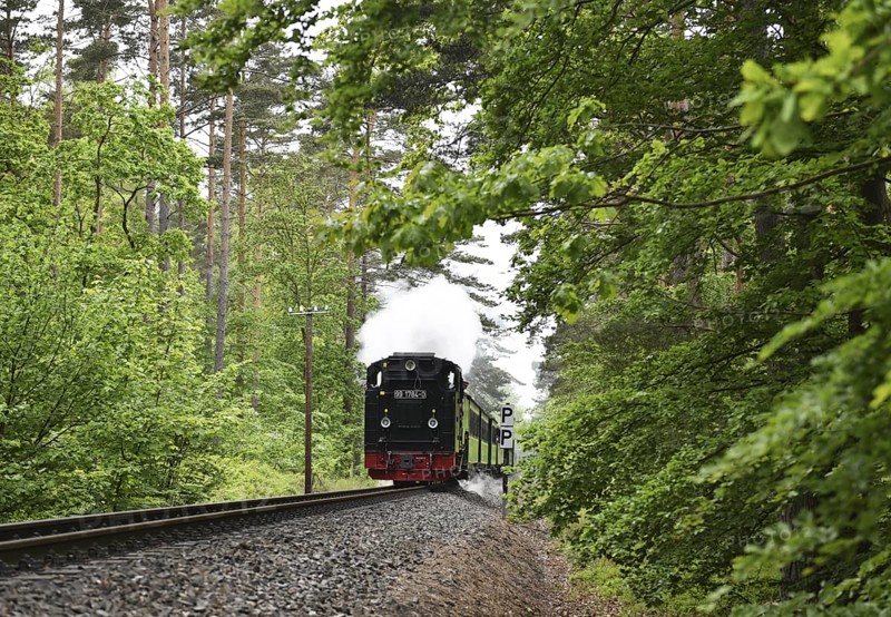 The Raging Roland, narrow-gauge railway, on RÃ¼gen, Mecklenburg-Vorpommern, Germany