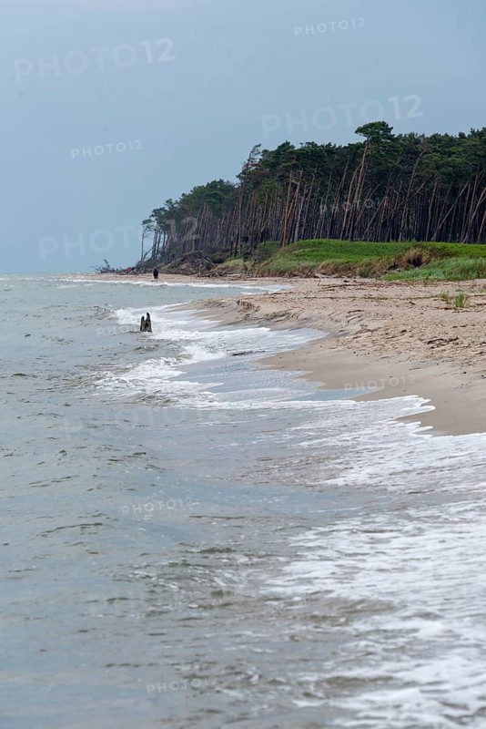 West beach with windbreaks, Prerow, Mecklenburg-Western Pomerania, Germany