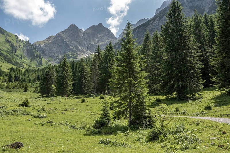 Hiking trail in BÃ¤rgunttal, behind mountains of the AllgÃ¤u Alps, near Baad, Kleinwalsertal, AllgÃ¤u Alps, Vorarlberg, Austria