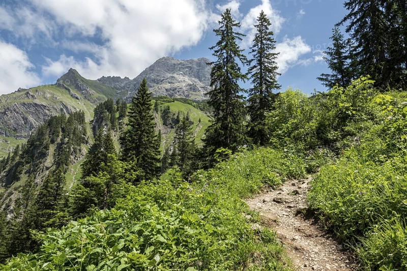 Hiking trail to the Hochalp Pass, BÃ¤rgunttal, behind Kleiner and GroÃŸer Widderstein, near Baad, Kleinwalsertal, AllgÃ¤u Alps, Vorarlberg, Austria