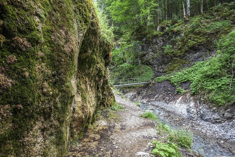 Bridge over Dietersbach, Rautweg, near Gerstruben, Dietersbachtal, near Oberstdorf, AllgÃ¤u Alps, OberallgÃ¤u, AllgÃ¤u, Bavaria, Germany