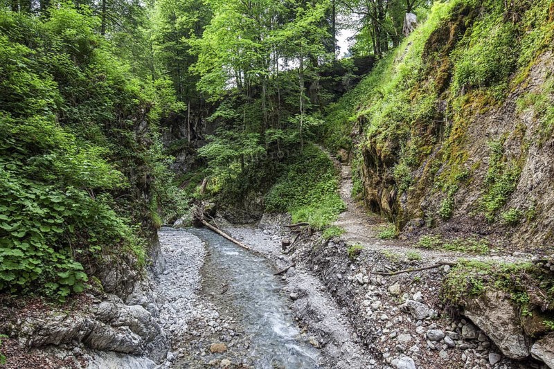 Dietersbach am Rautweg, near Gerstruben, Dietersbachtal, near Oberstdorf, AllgÃ¤u Alps, OberallgÃ¤u, AllgÃ¤u, Bavaria, Germany