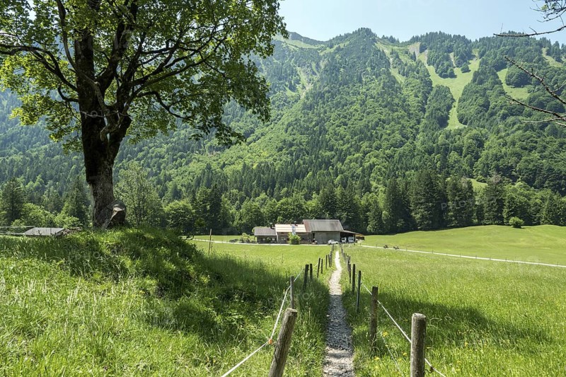 Hiking trail to Hölltobel to Gerstruben, behind Mumme-StÃ¼ble, Gottenried, near Oberstdorf, Trettachtal, OberallgÃ¤u, AllgÃ¤u, Bavaria, Germany