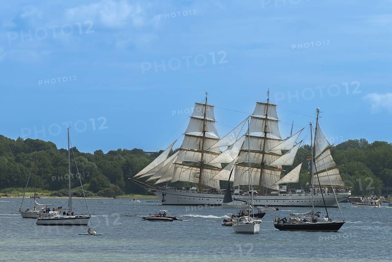 Windjammer parade 2025 on the Kiel Fjord at the end of Kiel Week, tall ships, three-master, sail training ship Gorch Fock, spectators, summer weather, sunshine, forest, Kiel, Schleswig-Holstein, Germany