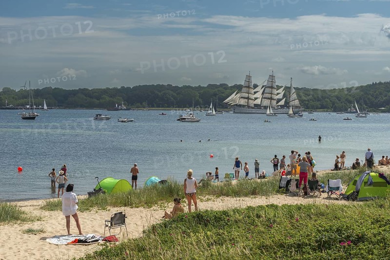 Windjammer parade 2025 on the Kiel Fjord at the end of Kiel Week, tall ships, three-master, sail training ship Gorch Fock, spectators, Falkenstein beach life, summer weather, sunshine, forest, Kiel, Schleswig-Holstein, Germany