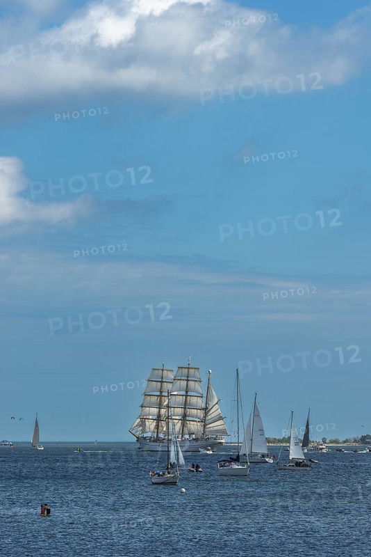 Windjammer parade 2025 on the Kiel Fjord at the end of Kiel Week, tall ship, three-master, sail training ship Gorch Fock, summer weather, sunshine, forest, Kiel, Schleswig-Holstein, Germany
