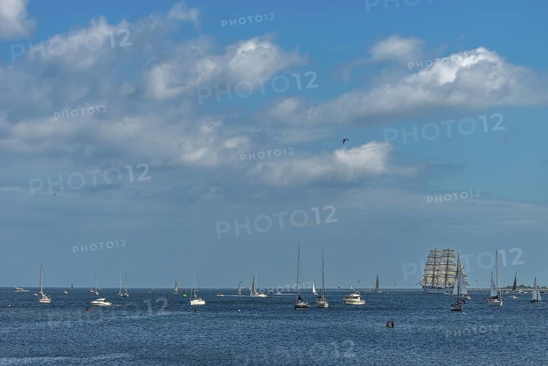 Windjammer Parade 2025 on the Kiel Fjord at the end of Kiel Week, tall ships, three-master, sail training ship Gorch Fock, boats, summer weather, sunshine, forest, Kiel, Schleswig-Holstein, Germany