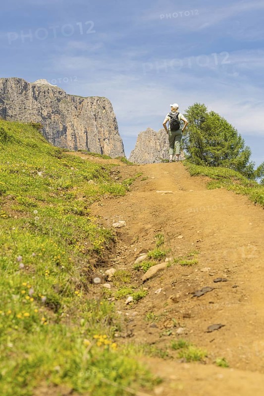 A hiker walks along a sunny nature trail, surrounded by mountainous landscape, Schlehrn hike, Alpe di Siusi, Dolomites, South Tyrol, Italy