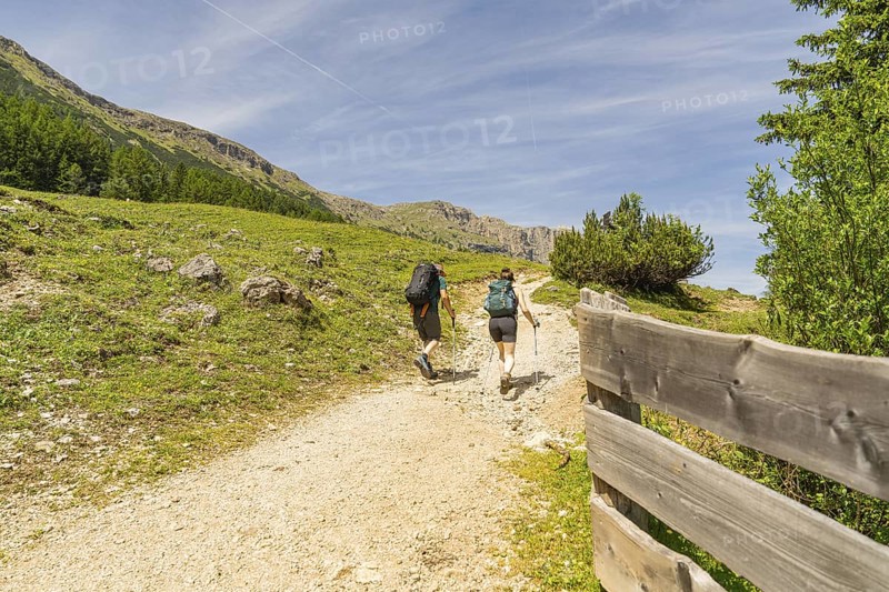 Two hikers walk along a sunny mountain path, flanked by a wooden barrier, Schlehrn hike, Alpe di Siusi, Dolomites, South Tyrol, Italy