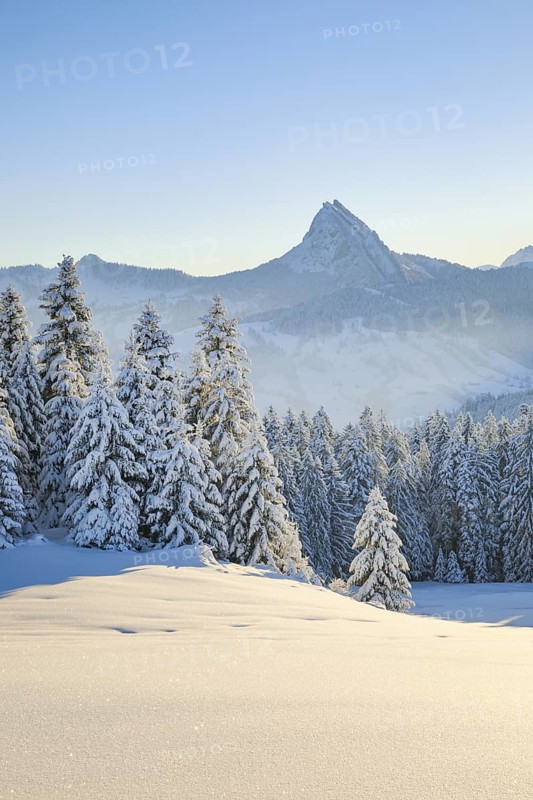 View of Sattelegg with Chöpfenberg in the background, Canton Schwyz, Switzerland