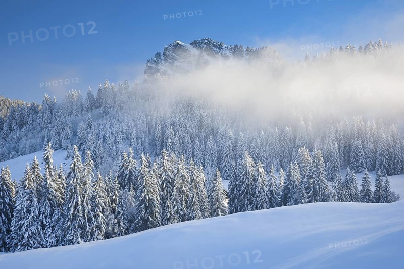 View of Sattelegg with Chli Aubrig in the background, Canton Schwyz, Switzerland