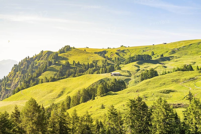 Panorama of rolling, wooded hills with a house in the distance, hike to the Schlehrn, Alpe di Siusi, Dolomites, South Tyrol, Italy