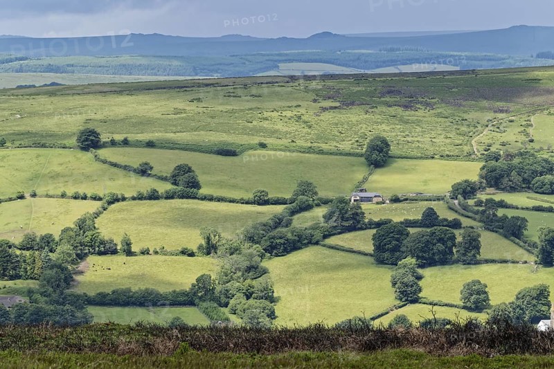 Fields and meadows around the village of Widecombe-in-the-Moor in Dartmoor National Park. Bovey Tracey, Devon, South England, Great Britain