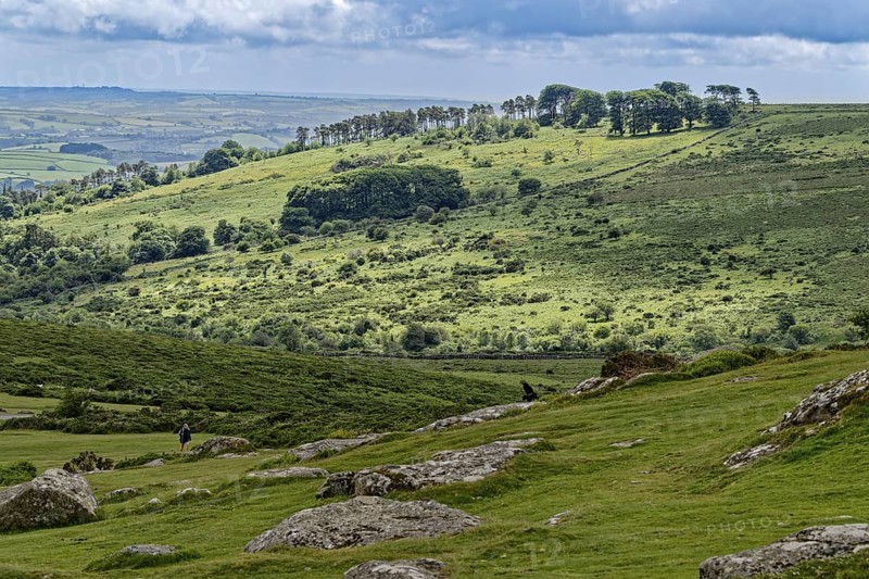 Landscape around the Haytor Rocks in Dartmoor National Park. Bovey Tracey, Devon, South England, Great Britain