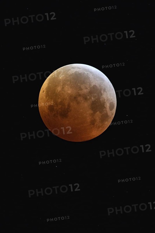Blood moon (lunar eclipse), red-orange moon on 21 January 2019, 04:10 a.m., entry of the supermoon into the Earth's umbra, full moon, supermoon, strawberry moon, local nature, Meerbusch, DÃ¼sseldorf, Rhineland, Lower Rhine, North Rhine-Westphalia, Germany, Western Europe