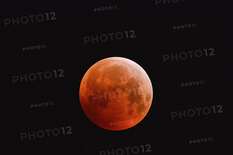 The 21.01.2019... Core shadow lunar eclipse... Blood moon (super moon, lunar eclipse), brightly shining, very large, red-orange moon, full moon in the night sky with stars, super telephoto, strawberry moon, local nature, Meerbusch, DÃ¼sseldorf, Rhineland, Lower Rhine, North Rhine-Westphalia, Germany, Western Europe