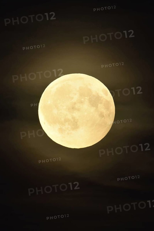 Low full moon, moon (super moon) in starry night shines brightly in August in dark night with atmospheric light wreath, aura, created by light cloud haze around the moon, local nature, Meerbusch, DÃ¼sseldorf, Rhineland, Lower Rhine, North Rhine-Westphalia, Germany, Western Europe